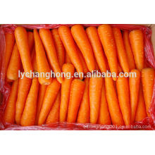 2014 best quality carrot normal shape, fresh and clean